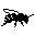 Hyménoptères